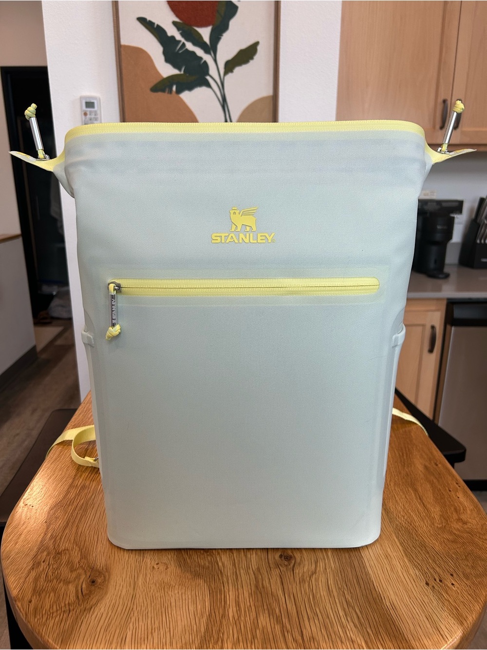 Stanley All Day Madeleine MIDI Cooler Backpack 14.8 quart - Picture 9 of 9